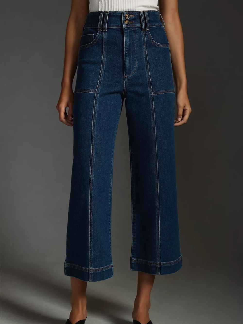 Anthropologie Pilcro Skipper Seamed High-Rise Crop Wide-Leg Jeans – Size 29